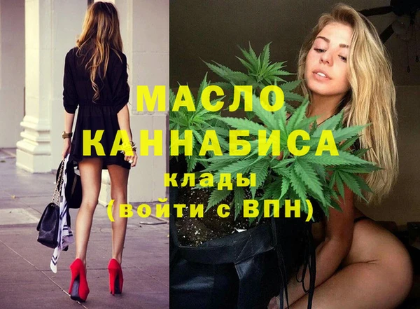 дживик Краснослободск