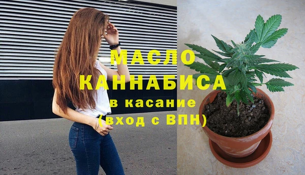 дживик Краснослободск
